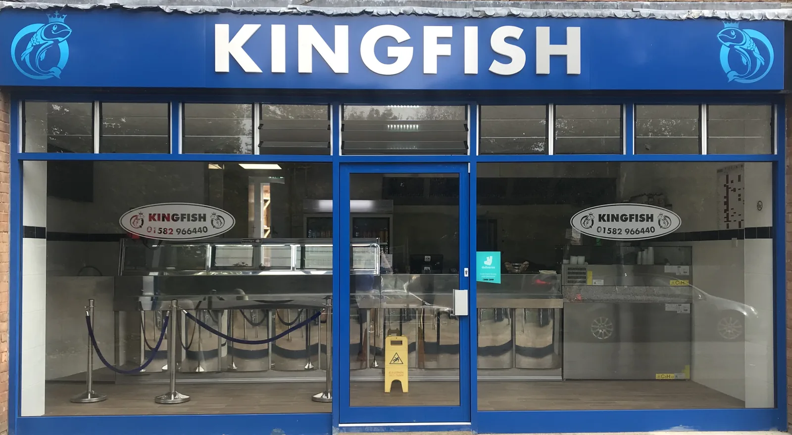 Kingfish