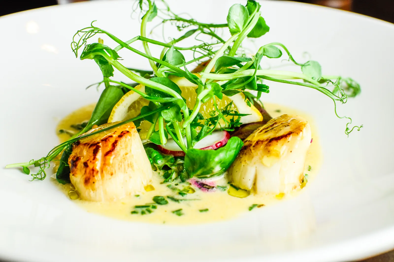 Soleto Bistro